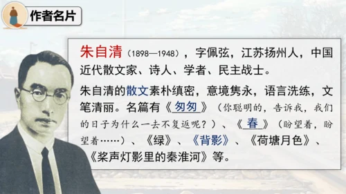 14 背影 课件