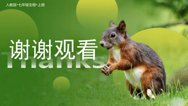 七上第一单元 生物和生物圈复习课件(共26张PPT)