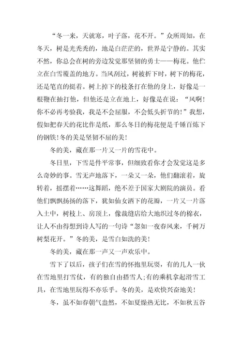 2024年五年级300字作文冬天