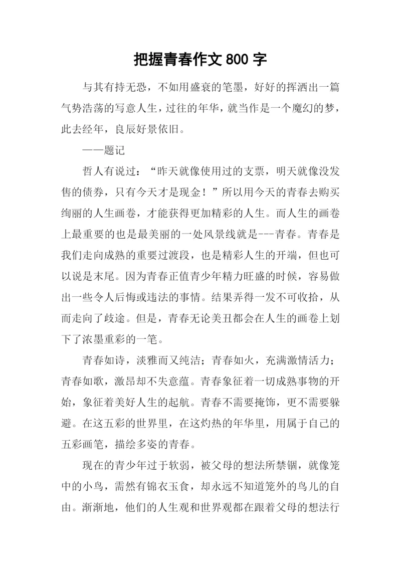 把握青春作文800字.docx
