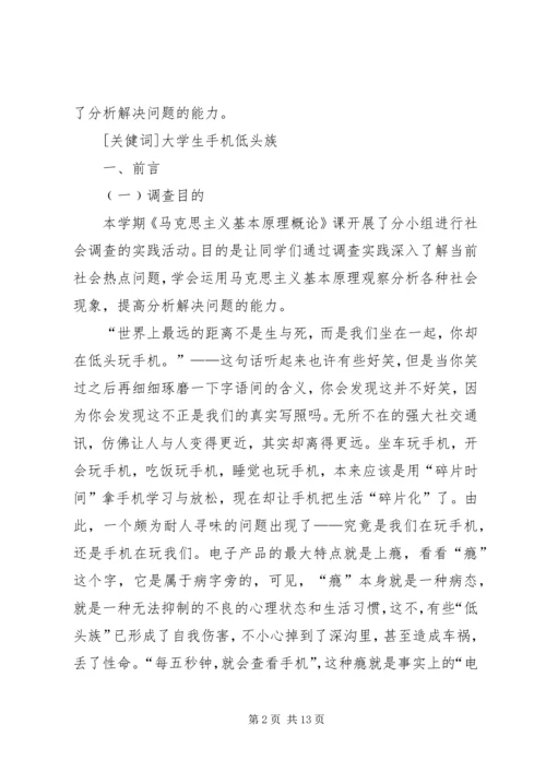 低头族带来的安全新隐患.docx