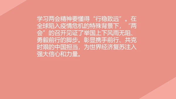 粉色党政风两会学习心得PPT模板