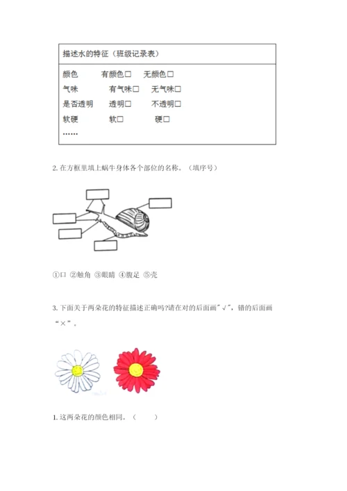 教科版小学科学一年级下册期末测试卷及参考答案（轻巧夺冠）.docx