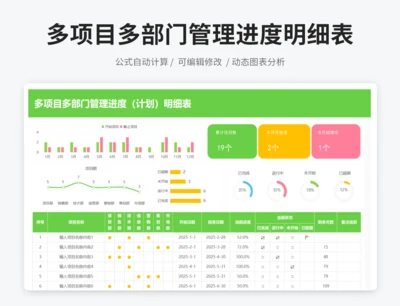 多项目多部门管理进度（计划）明细表