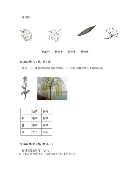 教科版科学一年级上册期末测试卷及答案【基础+提升】.docx