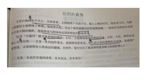 九年级上册 第一单元 名著导读《艾青诗选》课件(共20张PPT)