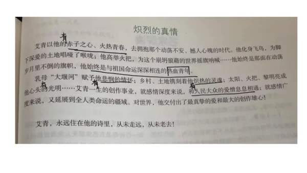 九年级上册 第一单元 名著导读《艾青诗选》课件(共20张PPT)