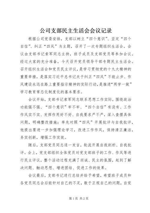 公司支部民主生活会会议记录.docx