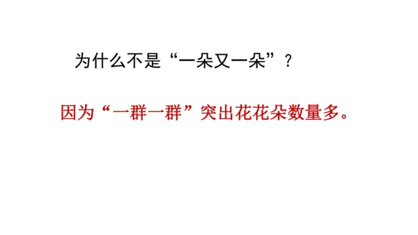 2《花的学校》   课件