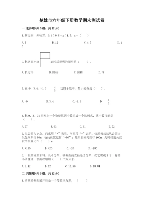 楚雄市六年级下册数学期末测试卷及完整答案1套.docx