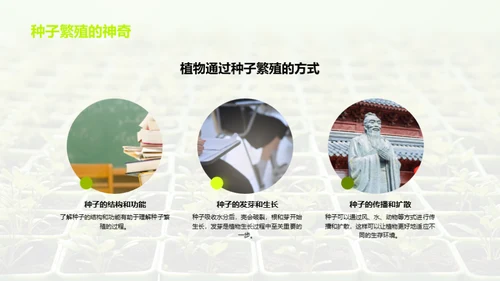 植物的奥秘世界
