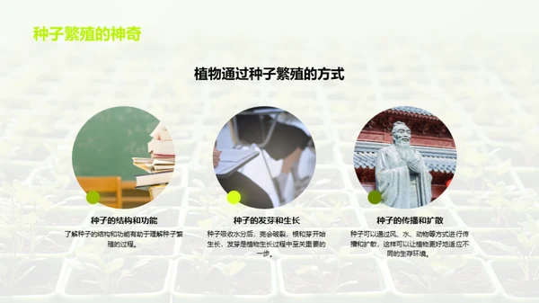 植物的奥秘世界