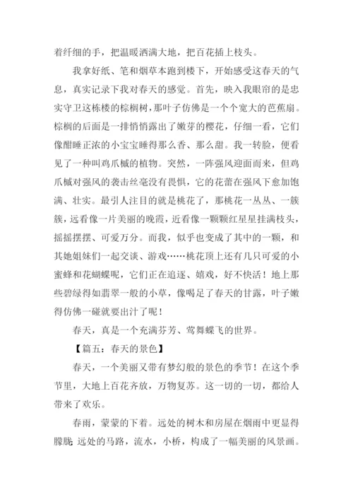 春天的景色作文250字.docx