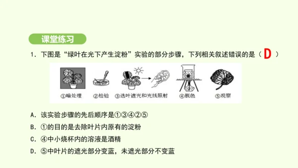 第三单元-第二章-第二节-光合作用-第1课时 绿叶在光下制造有机物课件-2024-2025学年七年级
