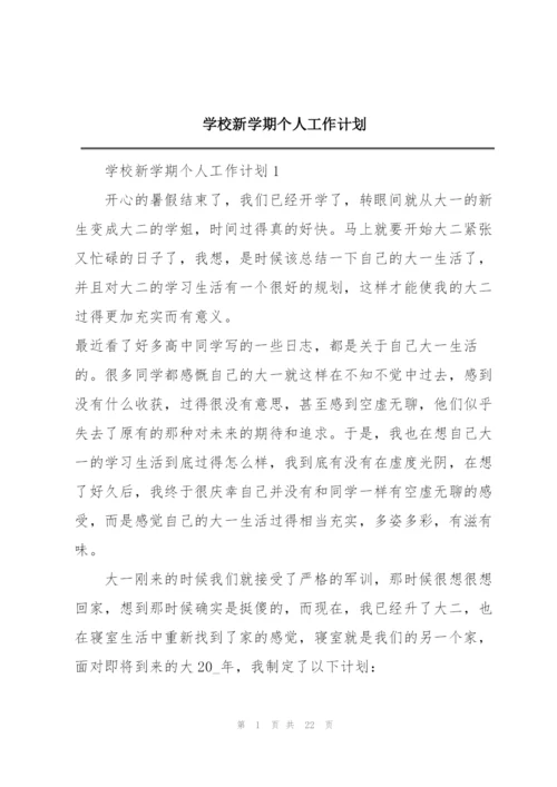 学校新学期个人工作计划.docx