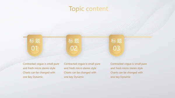道德与法治工作总结动态PPT模板