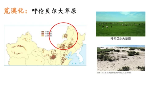 6.3共同关注的环境问题