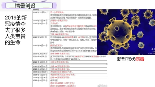 人教版生物七年级上册2.3.4《病毒》（课件）(共19张PPT)+视频素材