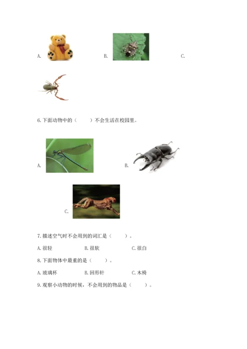 教科版一年级下册科学期末测试卷加答案解析.docx