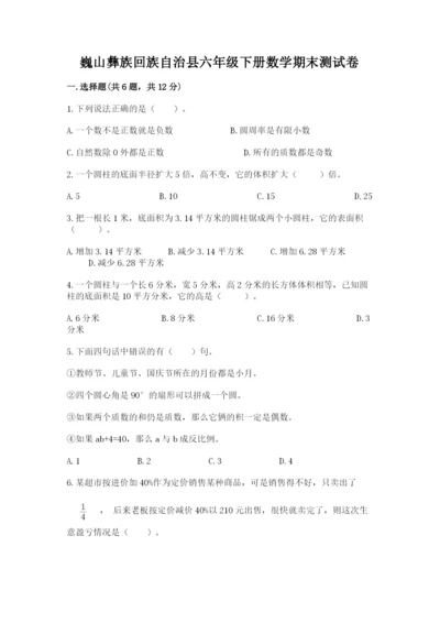 巍山彝族回族自治县六年级下册数学期末测试卷a4版.docx