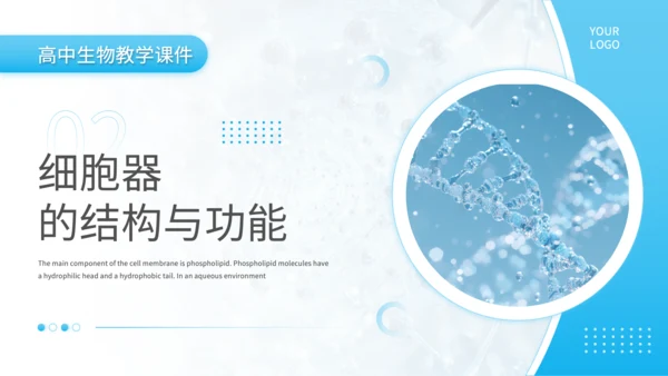 蓝色简约风细胞结构探秘PPT