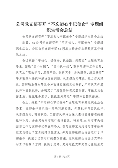 公司党支部召开“不忘初心牢记使命”专题组织生活会总结.docx