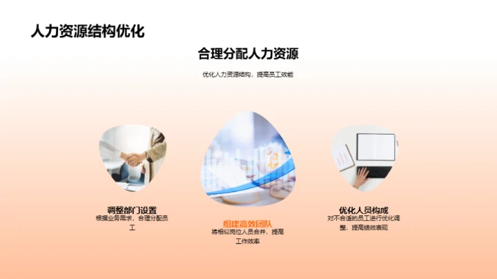 20XX年度人力资源优化