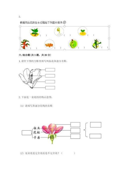 教科版四年级下册科学第一单元《植物的生长变化》测试卷及答案【夺冠】.docx