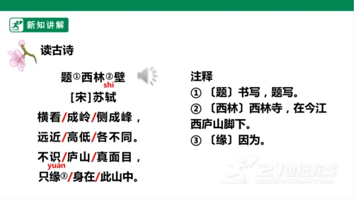 9. 古诗三首 第二课时 课件