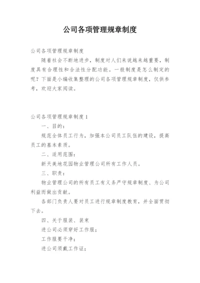 公司各项管理规章制度_1.docx