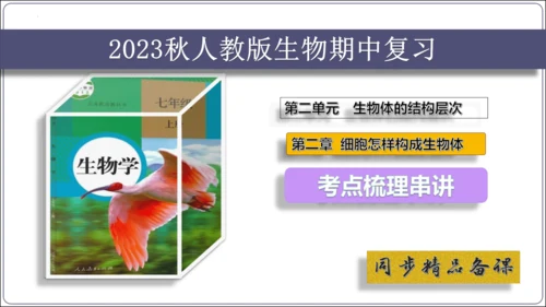 【2023秋人教七上生物期中复习考点梳理串讲+临考押题】第二章 细胞怎样构成生物体（串讲课件）(共2