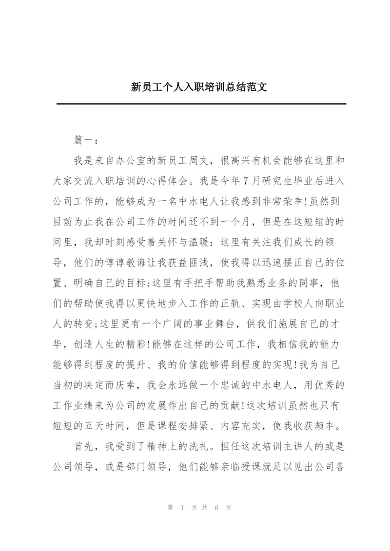 新员工个人入职培训总结范文.docx