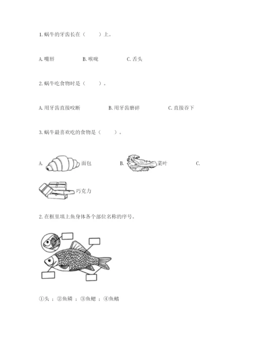 教科版小学科学一年级下册期末测试卷附答案（模拟题）.docx
