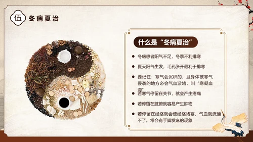 棕色中国风中医健康国风国潮中医健康宣教PPT