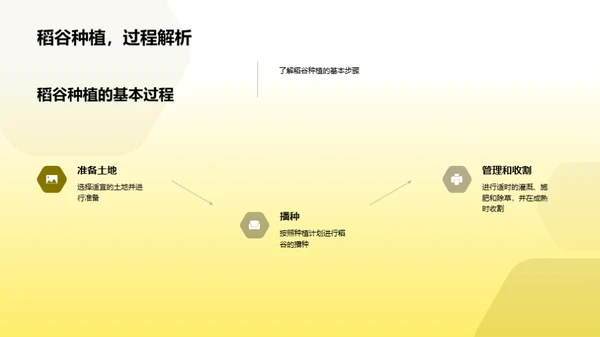 稻田革新：丰收之路