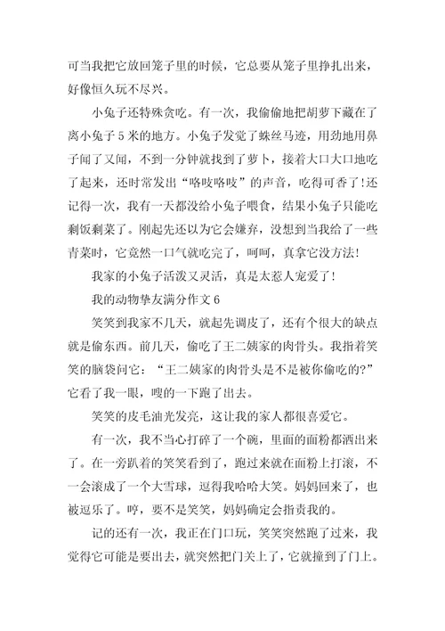最新我的动物朋友满分作文