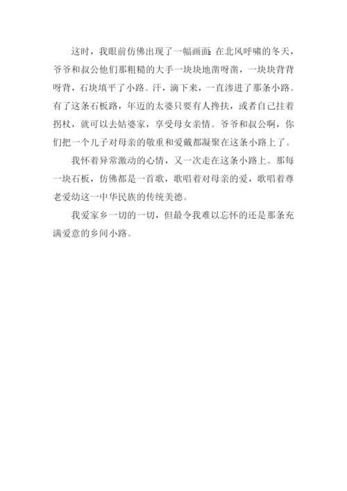 我爱家乡的那条小路作文600字.docx