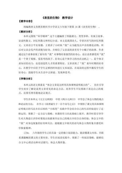 《16.表里的生物》（第一课时）（优课）教案