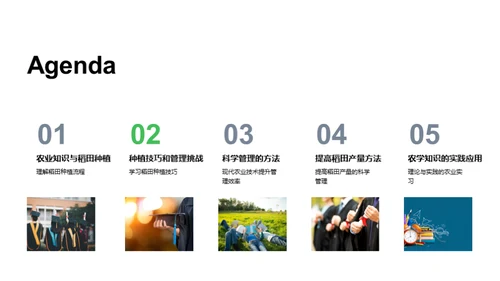 稻田科学种植