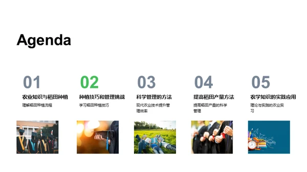 稻田科学种植