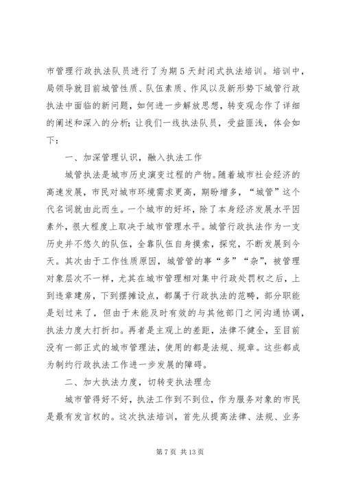 城管执法工作心得体会(精选多篇).docx