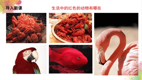 第六课《红色的画》课件