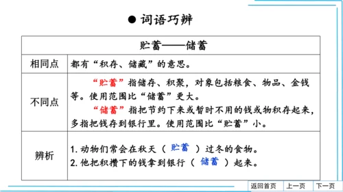 七上语文期中期末复习2_3词语运用每课晨读 课件(共47张PPT)