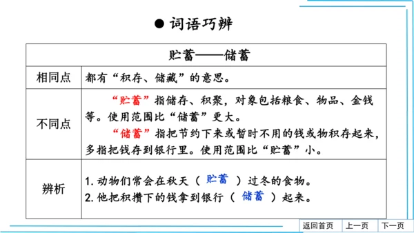 七上语文期中期末复习2_3词语运用每课晨读 课件(共47张PPT)