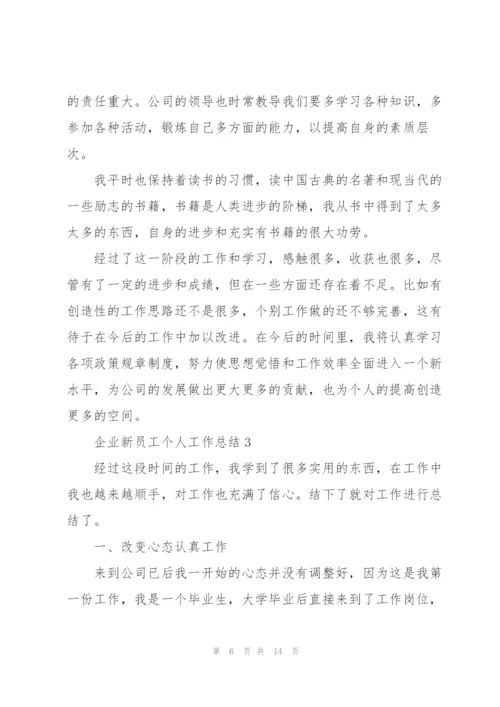 企业新员工个人工作总结.docx