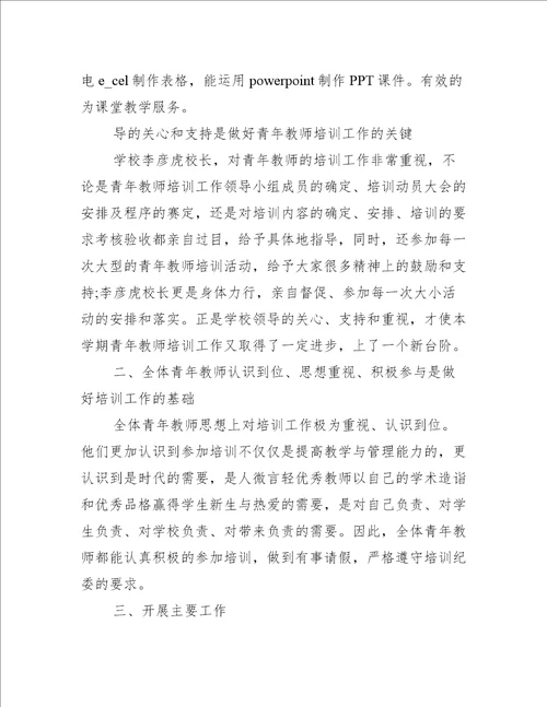 指导青年教师工作总结