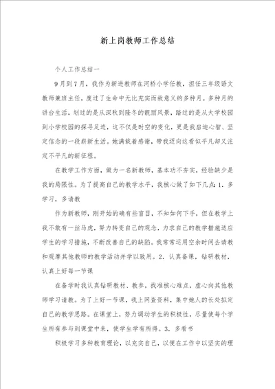 2022年新上岗老师工作总结