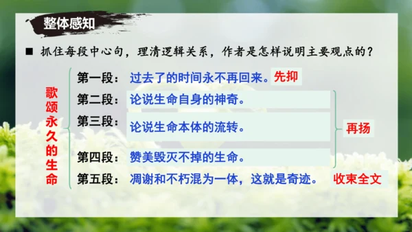 第16课 散文二篇 《永久的生命》课件