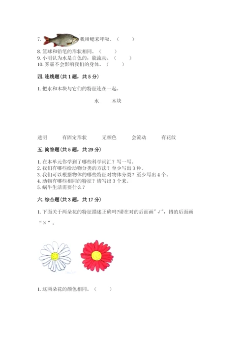 教科版一年级下册科学期末测试卷精品【夺冠】.docx