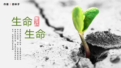 爱护生命保护环境林PPT教学课件